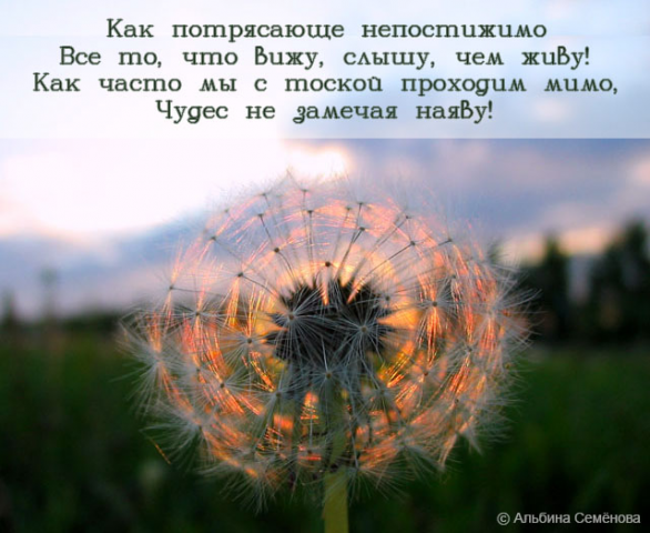 Стихи с картинкой и без