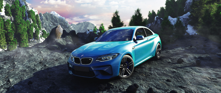 BMW & Falcon