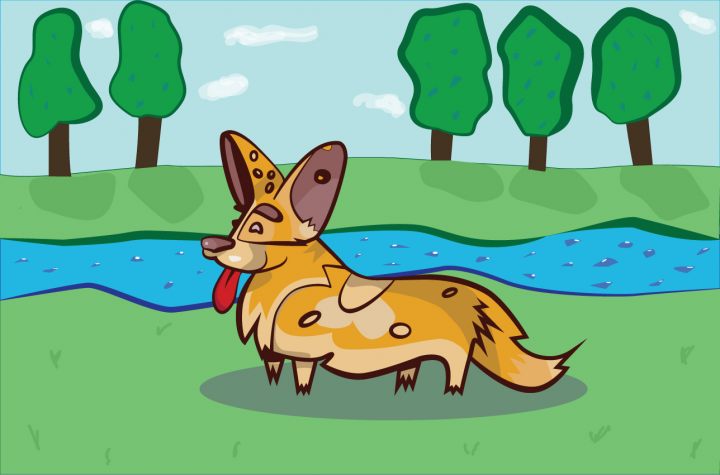 Corgi