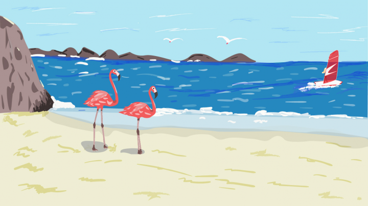 Flamingo