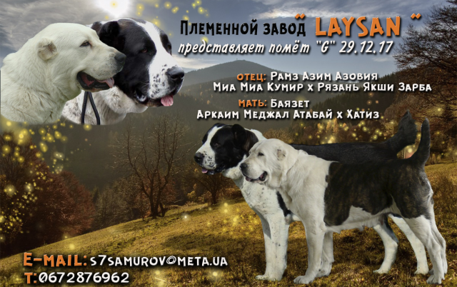 Продающая рекламная картинка