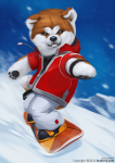 akita