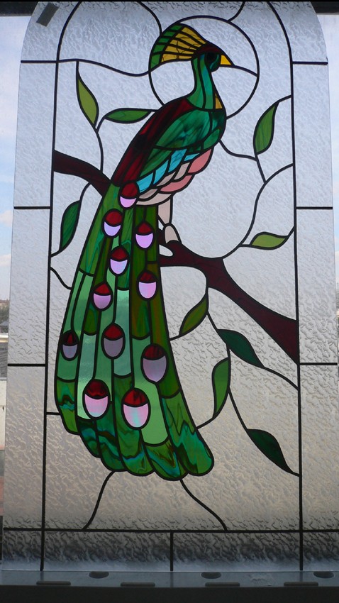 P1000509.jpg