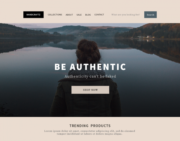 Shopify Teme