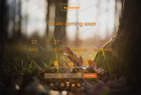 Under Construction - Autumn Forest