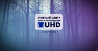 Музыкально-звуковое оформление ролика