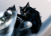Gold is Cold/Gettocat