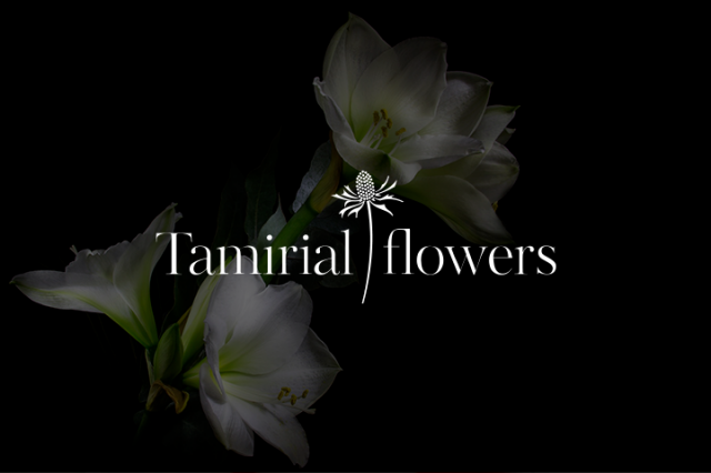Tamirial Flowers