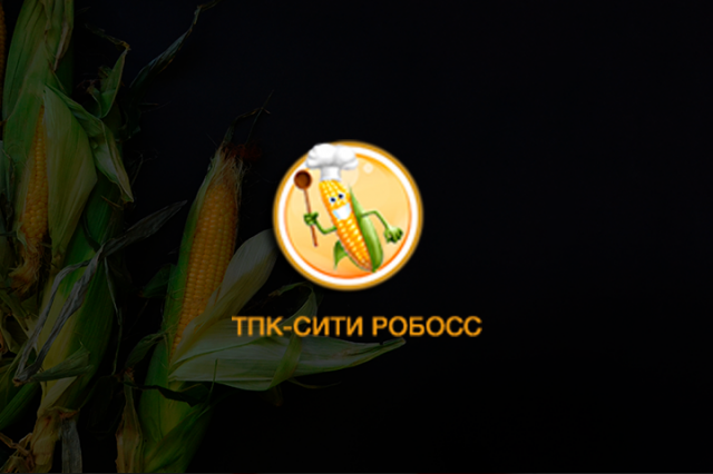ТПК-СИТИ Робосс