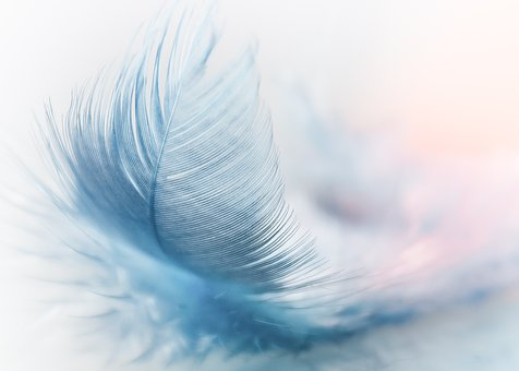 Познавательная статья