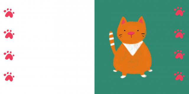 Котик