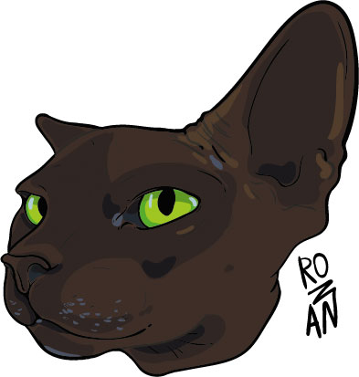 Кот