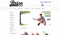 BRISS