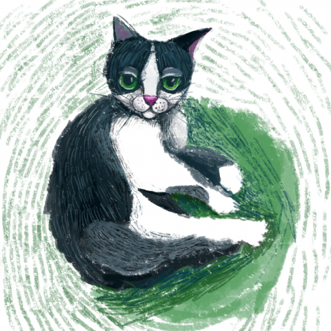 Портрет кота