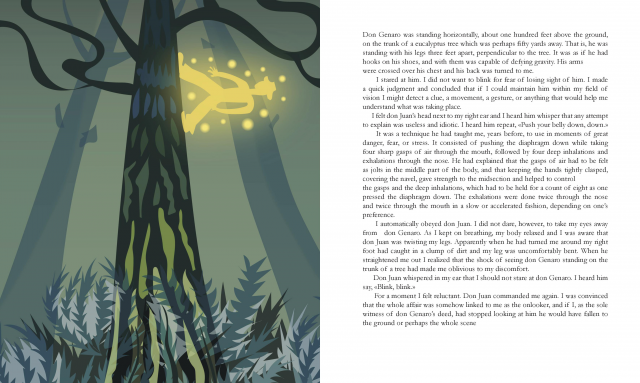 Разворот книги