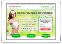 лендинг - Ягоды годжи