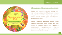 Презентация для компании Фабрика трав