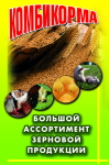 Работа 2020794