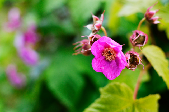 Работа 3459897