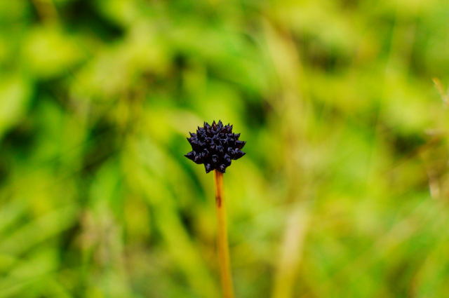 Работа 3459894