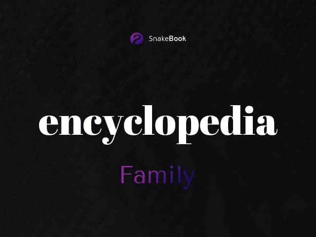 Encyclopedia | Family
