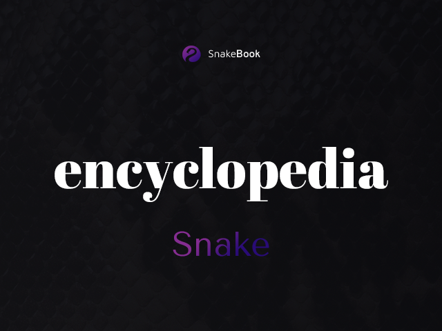 Encyclopedia | Snake