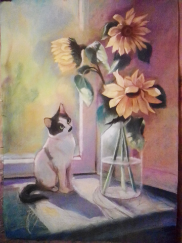 котик и цветы