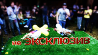 cockfight