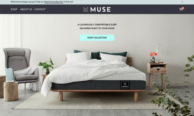 "Muse". Комфортный сон