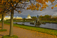 Работа 2631010