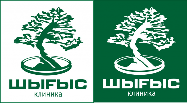 Работа 3480963