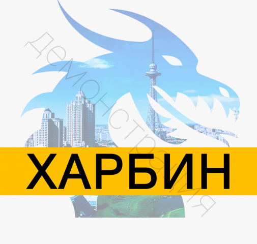 Логотип магазина китайских товаров