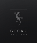 Логотип для сайта gecko-project.lv
