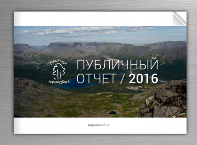 Публичный отчёт ПиМ 2016