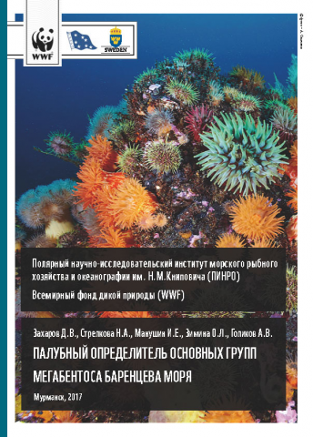 ПАЛУБНЫЙ ОПРЕДЕЛИТЕЛЬ ОСНОВНЫХ ГРУПП МЕГАБЕНТОСА БАРЕНЦЕВА МОРЯ