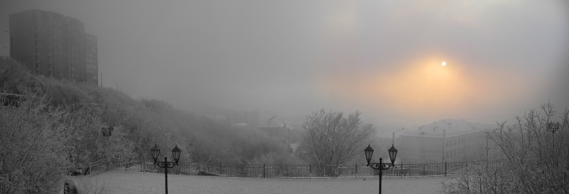 pic1017177.jpg
