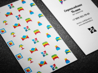 Визитка(2)