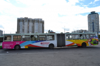 Работа 1351373