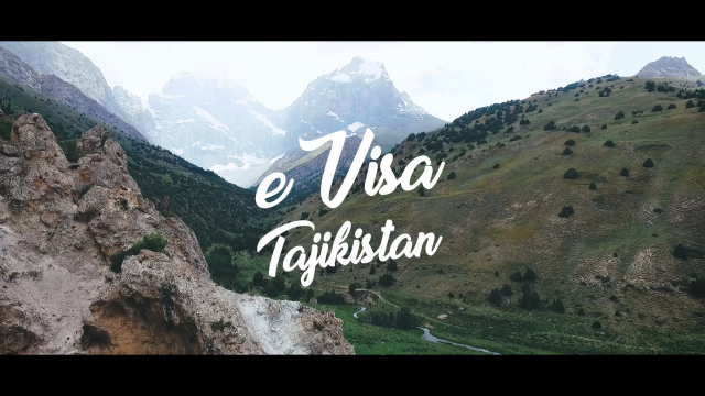 E-Visa