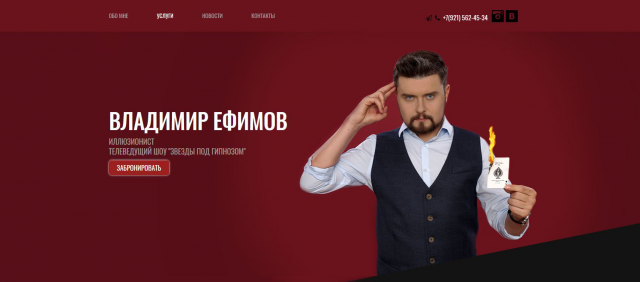 efimovvladimir.ru
