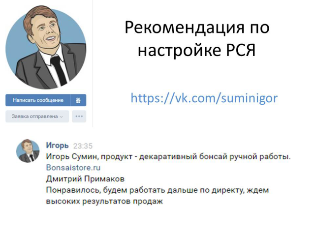 Бонсай комнатное растение