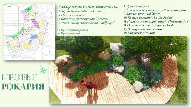 Проект рокария