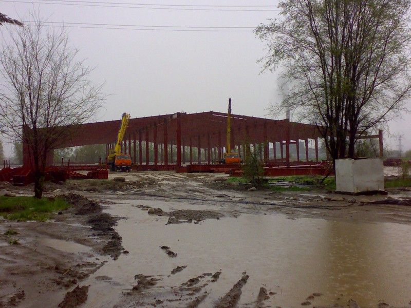 pic3338575.jpg