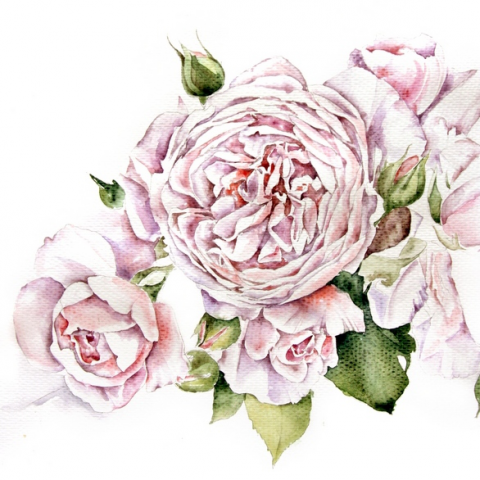 ROSES