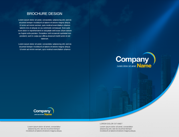 CompanyName