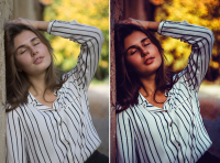 Работа 3068824