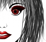 vector draw