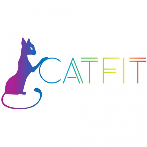 Логотип CatFit