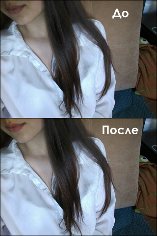 Работа 3461261
