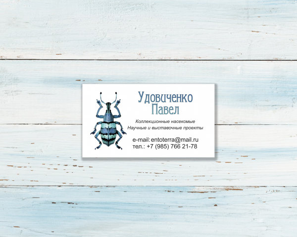 Визитка